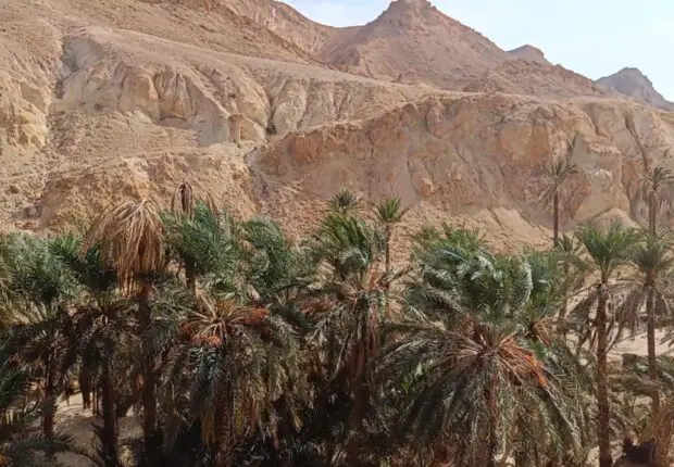 Chebika, Tamerza et Midès… Les joyaux cachés du sud tunisien