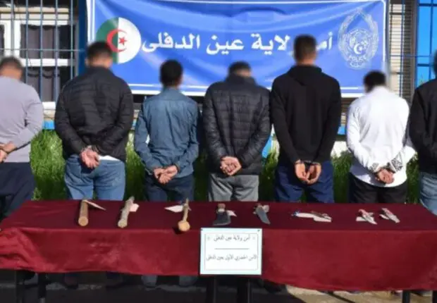 La police démantèle une bande armée avec un chien d’attaque, semant la terreur dans les quartiers