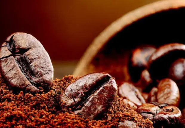 Nouveaux prix du café en Algérie : ce qu’il faut savoir