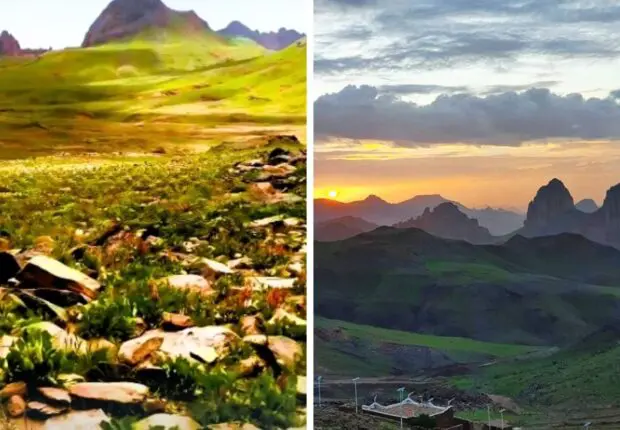 Le Sahara algérien se tropicalise : Vers un changement climatique radical dans le désert ?