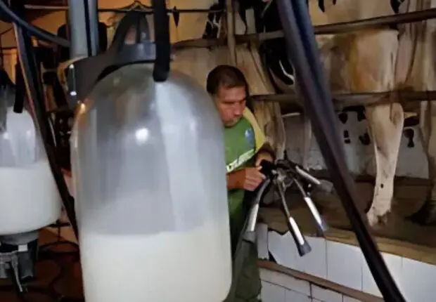 Cette wilaya se dote d’une méga-laiterie : 250 000 l/j pour booster la production locale