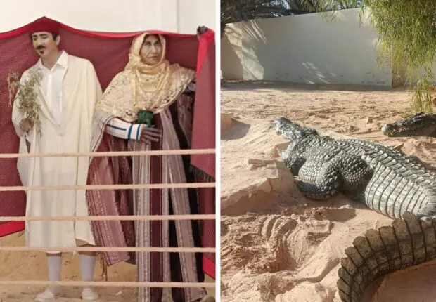 Djerba : Entre soleil, plages et traditions… Un voyage au cœur de la Tunisie