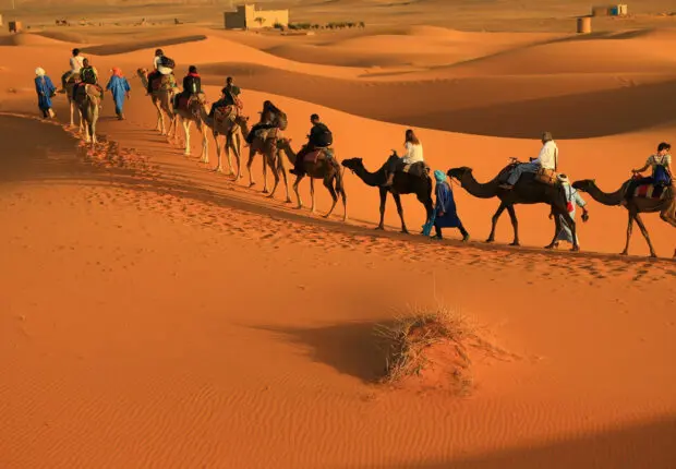 Festival international du tourisme saharien : le rendez-vous à ne pas manquer en novembre 2024 !