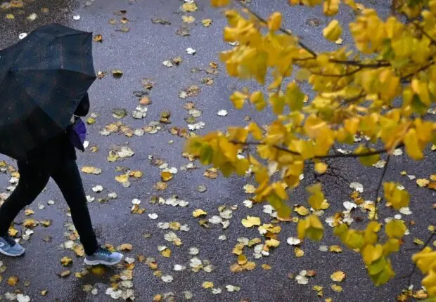 Retour de la pluie en Algérie : vigilance « jaune » dans plusieurs wilayas ce samedi 23 novembre