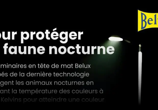 Belux Éclairage / Tizi-Ouzou 2024 : de l’urgence de protéger la faune nocturne
