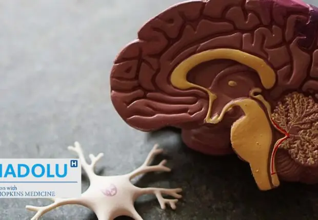 Neuro-oncologie : tout savoir sur les tumeurs cérébrales, du diagnostic aux traitements