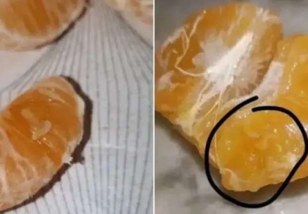 Les mandarines larvées inquiètent les Algériens : que disent les experts ?