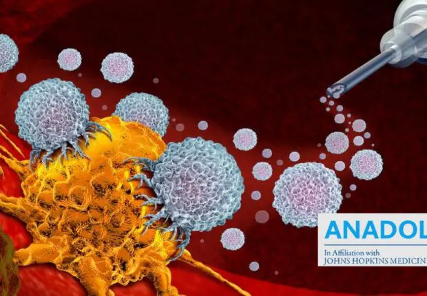 Décryptage : comment agit l’immunothérapie pour traiter le cancer