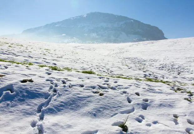 Prévisions météo du samedi 14 décembre : froid, pluie, neige… Quel temps fera-t-il aujourd’hui ?
