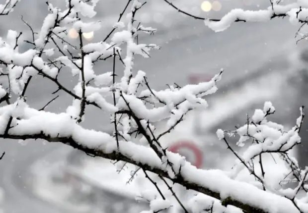 Alerte météo en Algérie : chutes de neige attendues dans plusieurs régions ce mardi 24 décembre