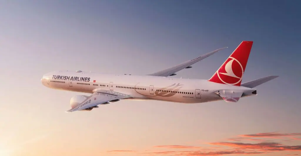 Atterrissage d’urgence en Italie: un Algérien sauve la vie d’un passager en plein vol vers Istanbul