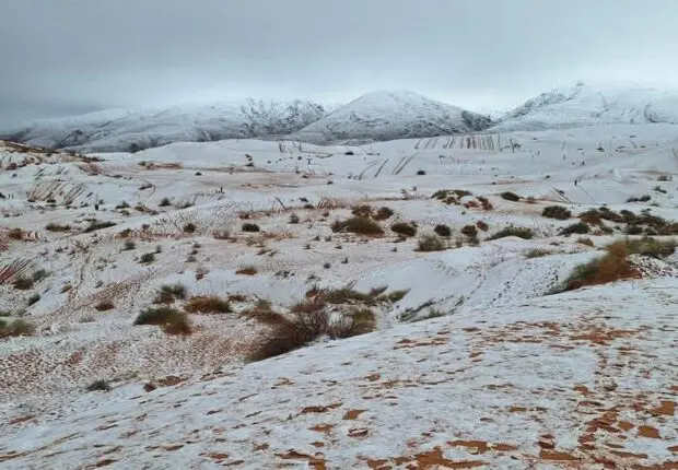 Naâma : Un tableau hivernal où les dunes de sable se parent de blanc