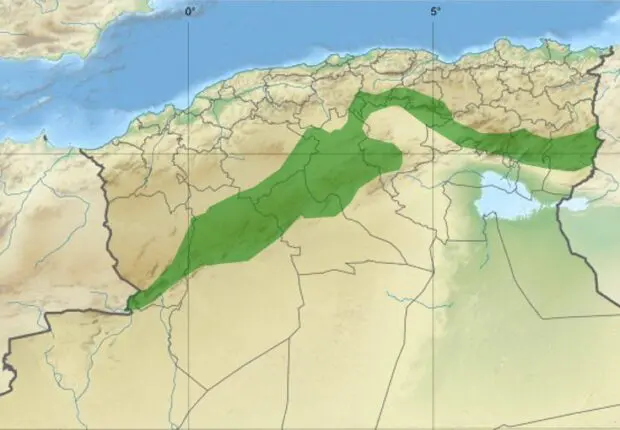 Le projet du Barrage Vert porte ses fruits : un bilan encourageant
