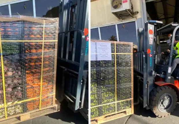 Algérie : Première opération d’exportation de « produits agricoles » vers le Canada et l’Europe