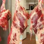 Vers une baisse des prix de la viande rouge ? Voici l&rsquo;offensive d&rsquo;AGROLOG pour casser le marché