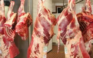 Vers une baisse des prix de la viande rouge ? Voici l&rsquo;offensive d&rsquo;AGROLOG pour casser le marché