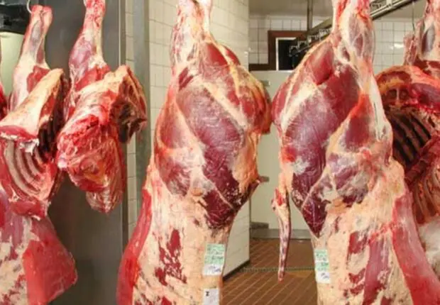 Importations massives : 28 000 tonnes de viande rouge et blanche pour le Ramadan 2025
