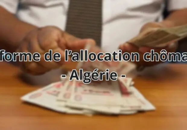 Allocation chômage : Vers une réforme profonde du dispositif ? (Rapport de la Cour des comptes)