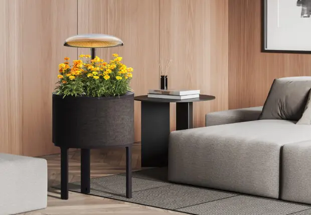 Le nouvel appareil de jardinage d’intérieur de LG dévoile un design raffiné au CES 2025