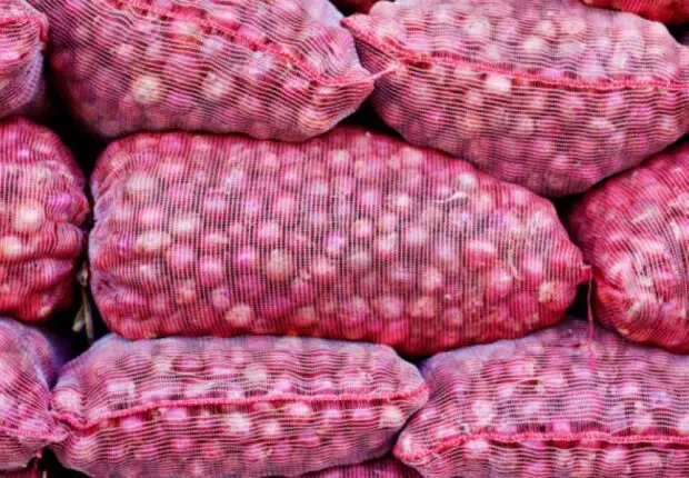 Première exportation de 2025 : l’Algérie envoie 500 T d’oignons rouges vers ce pays voisin
