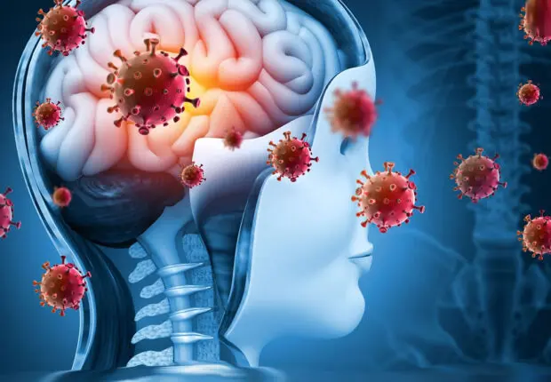 Méningite en forte hausse en France : l’essentiel à savoir sur cette infection mortelle