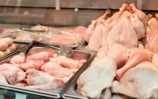 Dégringolade des prix du poulet en Algérie : la filière avicole avance sur une ligne de crête !