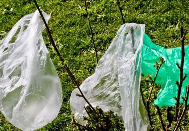 Pollution plastique en Algérie : vers la fin des sacs à usage unique ?
