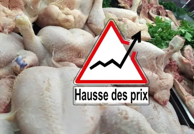 À quelques jours du Ramadan, le prix du poulet flambe : Le président de l’APOCE dévoile la raison