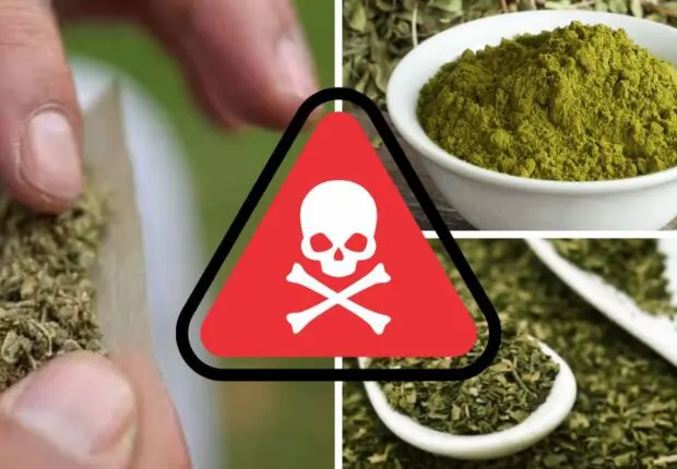 Du henné et du thym en guise de cannabis : la « stupéfiante » arnaque d&rsquo;un dealer à Aïn Defla