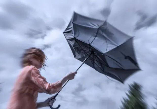 Prévisions météo du lundi 24 février : alertes « pluies » et « vents de sable » dans ces wilayas !