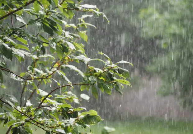 Météo Algérie : alertes pluies et vents violents dans plusieurs wilayas ce mercredi 5 février
