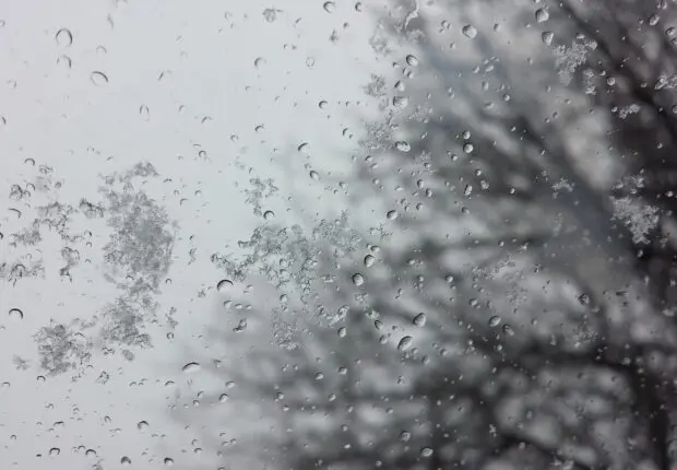 Temps hivernal en Algérie : quelles sont les prévisions météo pour ce vendredi 14 février ?