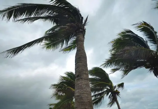 BMS – Météo Algérie : vigilance orange « vents violents » dans plusieurs régions ce lundi 17 février