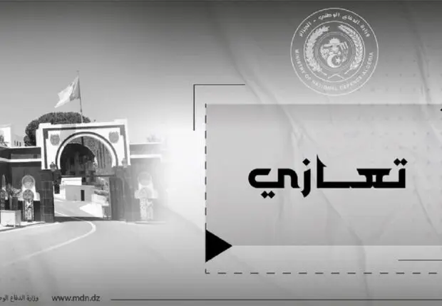 URGENT. Le crash d’un avion militaire de l’ANP fait un mort (MDN)