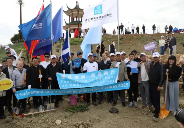 CSCEC Algérie s’engage pour l’environnement à travers une action de reforestation