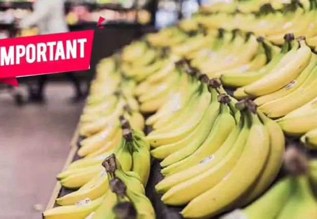 Le prix de la banane flambe à 700 DA/kg… L’UGCAA dénonce les pratiques opaques des importateurs