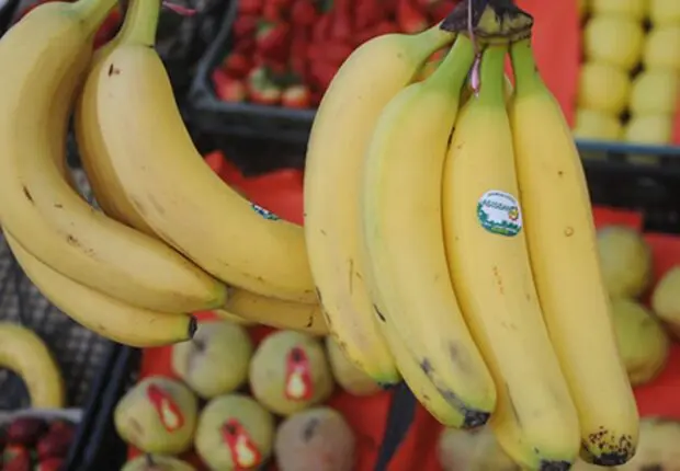 Le prix de la banane passe de 900 DA à 260 DA/kg à partir de ce dimanche
