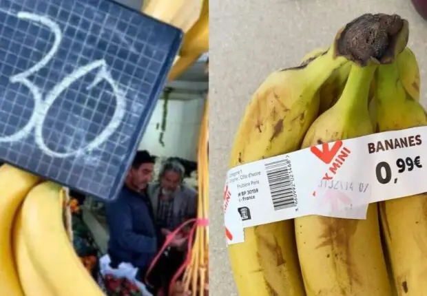 140 DA/KG en Europe, 700 DA/KG en Algérie : l’inexplicable flambée du prix de la banane