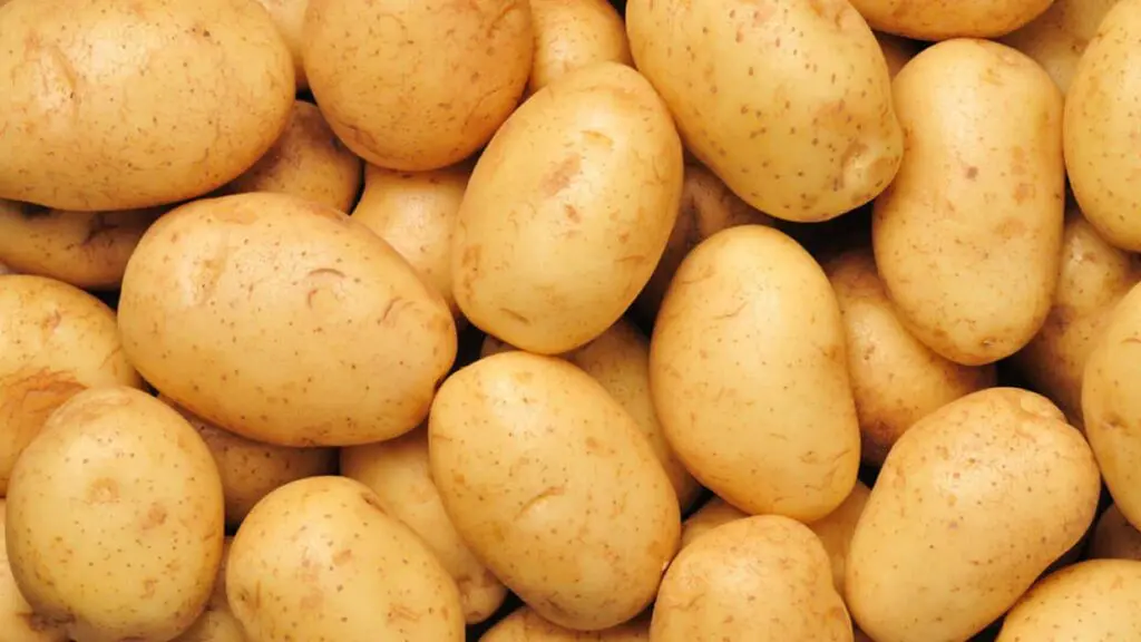 Spéculation sur la pomme de terre : l’État réagit et fixe un prix plafond