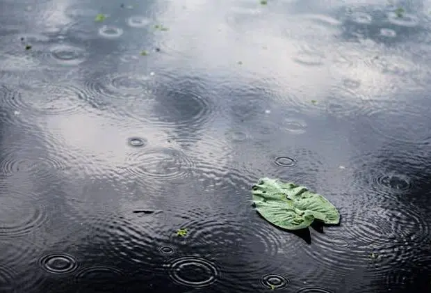 Le temps en Algérie ce week-end : que disent les prévisions météo du vendredi 7 mars ?