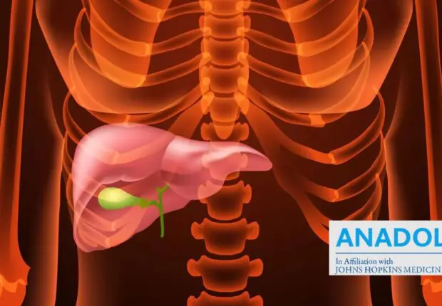 Chirurgie de la vésicule biliaire : quand et comment l’ablation devient nécessaire
