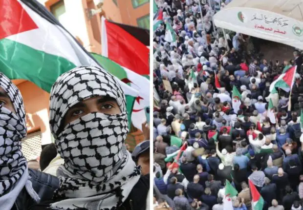 Alger crie son soutien à Gaza : des milliers de personnes dans les rues (images)