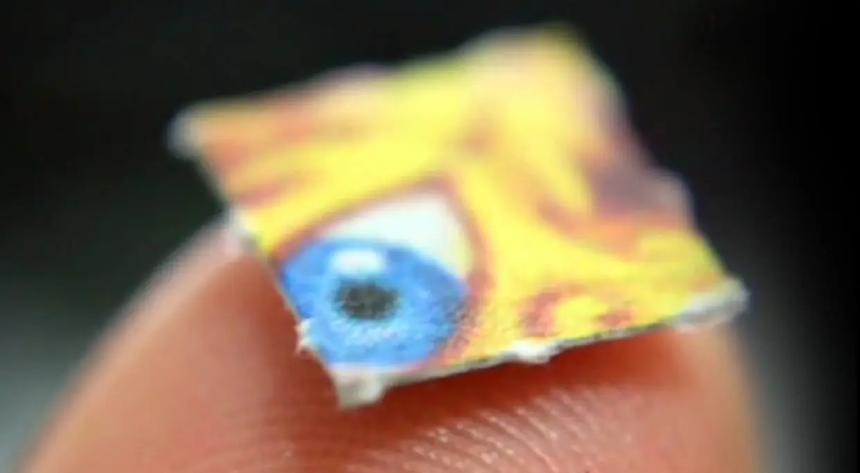 Il introduisait du LSD sous forme de timbres depuis le Canada : un étudiant jugé à Alger