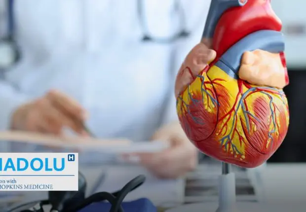 Santé cardiaque : 12 risques insoupçonnés qui épuisent votre cœur