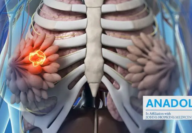 Ménopause : les cancers qui guettent et comment se protéger