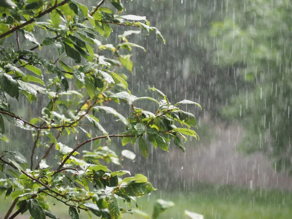 Alerte météo en Algérie : vigilance « orange » pluies et orages dans plusieurs wilayas ce 14 avril