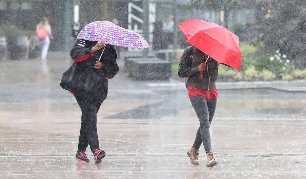 Fortes pluies et vents violents attendus ce 16 avril : BMS « orange » dans plusieurs wilayas du pays