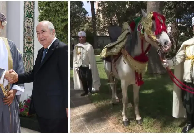 Tebboune scelle l’amitié avec Oman : un cheval Barbe offert au Sultan Haïtham ben Tariq