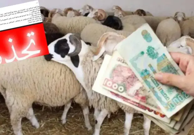 Vente de « bons d’achat » à 5000 DA pour les moutons importés : Un député dénonce