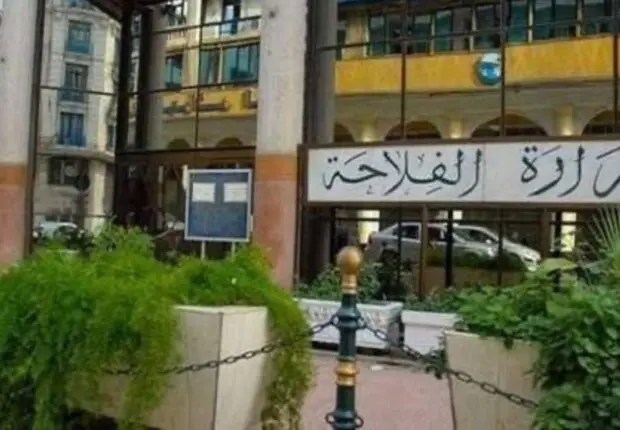 Importation encadrée de bétail : le ministère soutient les éleveurs